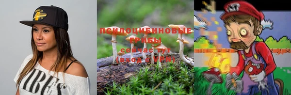 мяу мяу мука Богородицк