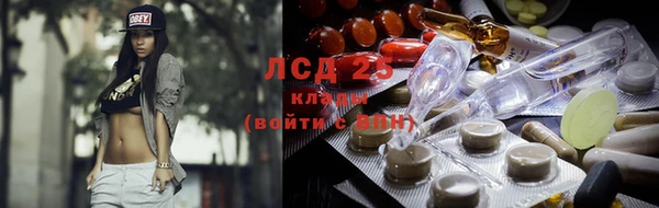гашиш Богданович