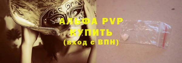 стаф Богородск