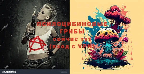 ГАЛЛЮЦИНОГЕННЫЕ ГРИБЫ Белоозёрский