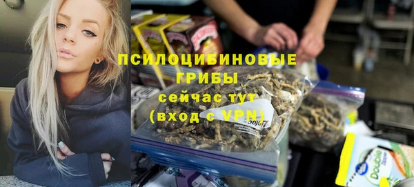стаф Богородск