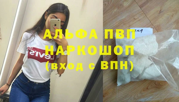 гашиш Богданович