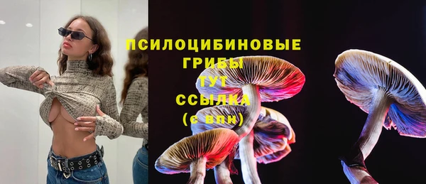 ешки Белокуриха